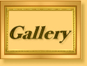 EVJ@Cindy Gallery.jpg (11015 bytes)