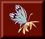 EVJ@Fractal butterfly button 2.jpg (5921 bytes)