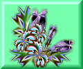 EVJ@Irises & orchids button.jpg (15381 bytes)
