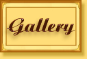 EVJ@Julianne Gallery.jpg (9841 bytes)