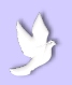 EVJ@Peace Bullet 1.jpg (2592 bytes)