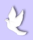EVJ@Peace Bullet 2.jpg (2621 bytes)