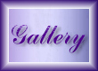 EVJ@Purple friend Gallery.jpg (7752 bytes)