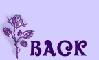 EVJ@ Purple rose Back.jpg (7141 bytes)