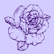 EVJ@ Purple rose Image 1.jpg (5657 bytes)