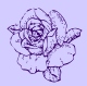 EVJ@ Purple rose Image 2.jpg (5668 bytes)