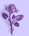 EVJ@ Purple rose Image 3.jpg (3512 bytes)
