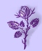 EVJ@ Purple rose Image 4.jpg (3523 bytes)