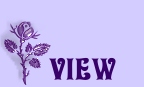 EVJ@ Purple rose View.jpg (5906 bytes)