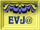 EVJ@Yellow-blue set EVJ@.jpg (6944 bytes)