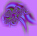 EVJ@Purple set Bullet.jpg (2682 bytes)