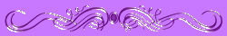 EVJ@Purple set Seperator 2.jpg (13191 bytes)