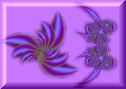 EVJ@Purple set button.jpg (12685 bytes)