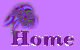 EVJ@Purple set home.jpg (4993 bytes)