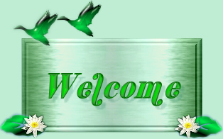 EVJ@Serenity Welcome.jpg (41792 bytes)