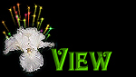 EVJ@white iris View.jpg (12299 bytes)