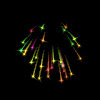 EVJ@white iris firework.jpg (6861 bytes)